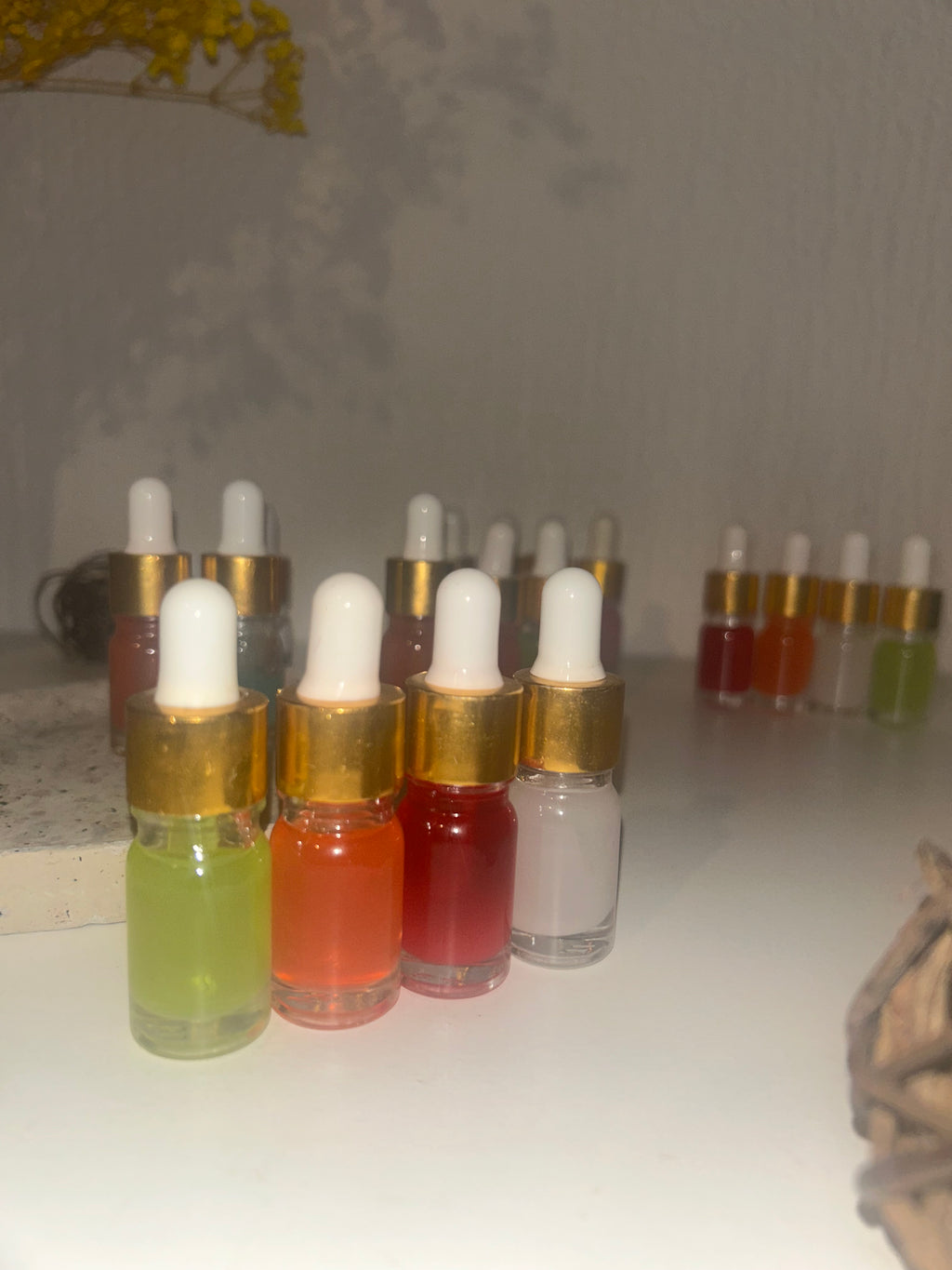 Pack Découverte de Muscs